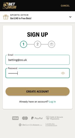 betmgm az log in.